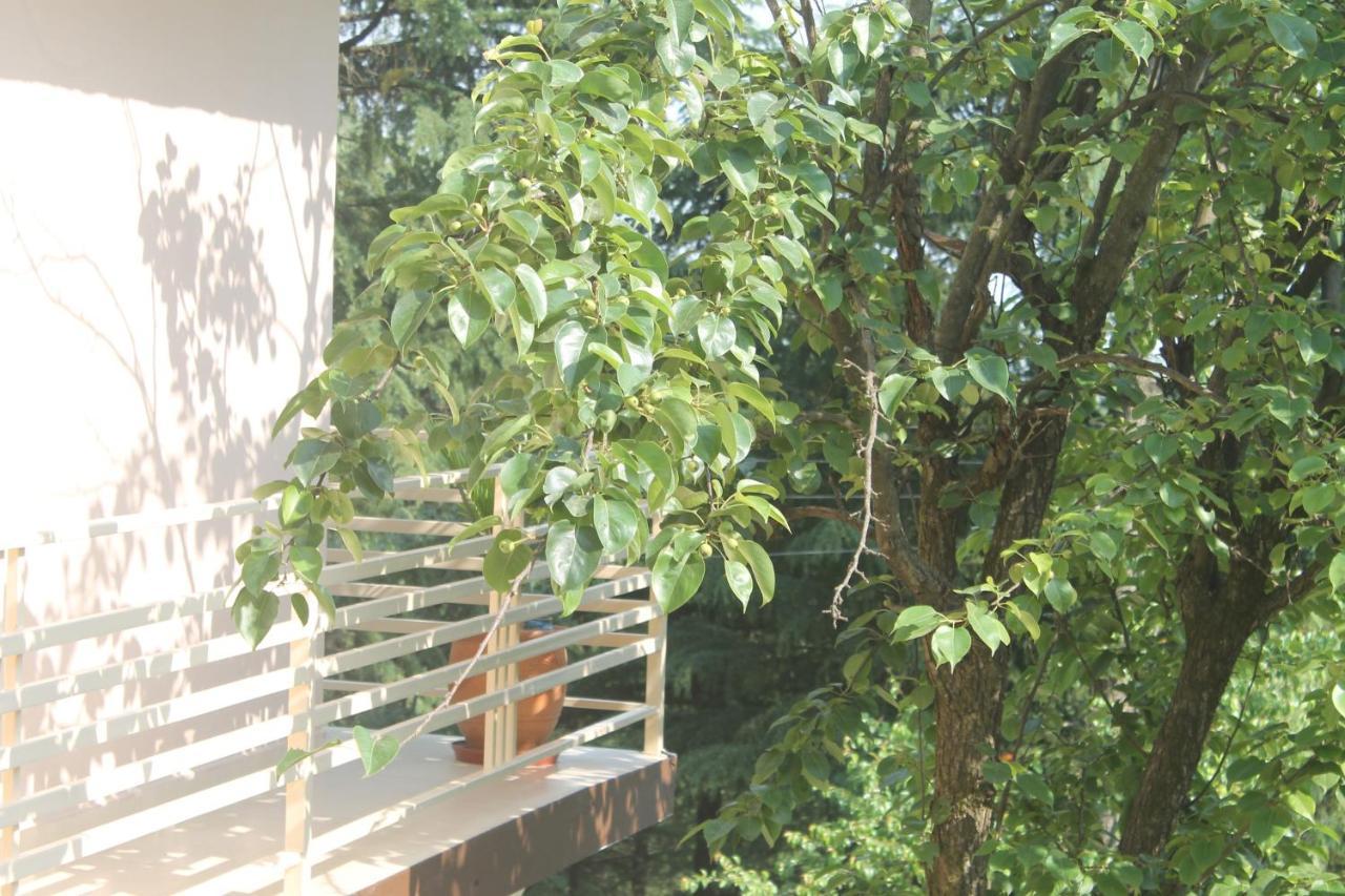 Junglaat Stays & Experiences Dharamshala Exterior foto